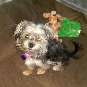 Meet your Posher, Victoria